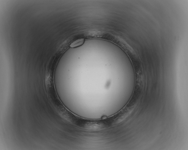 X0000110740597200906221030
