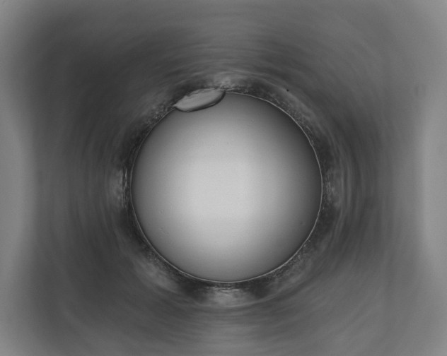 X0000110740605200906221030