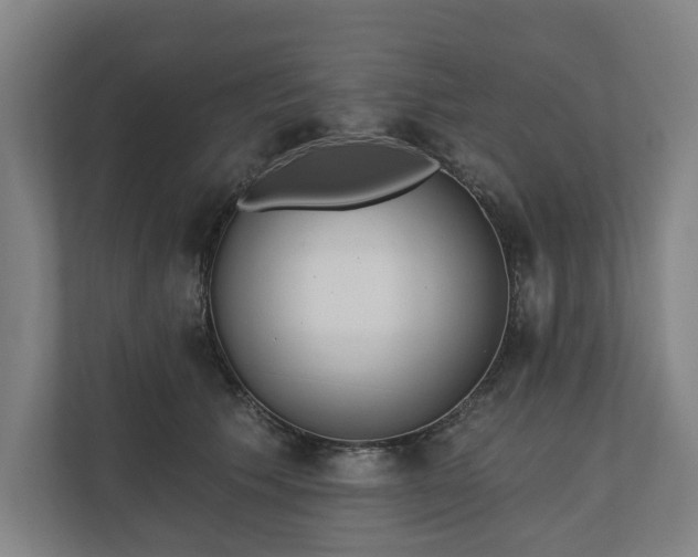 X0000110740609200906221030