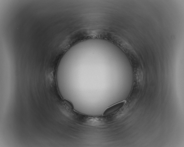 X0000110740611200906221030