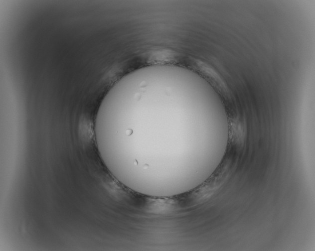 X0000110740621200906221030