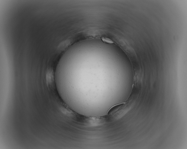 X0000110740623200906221030