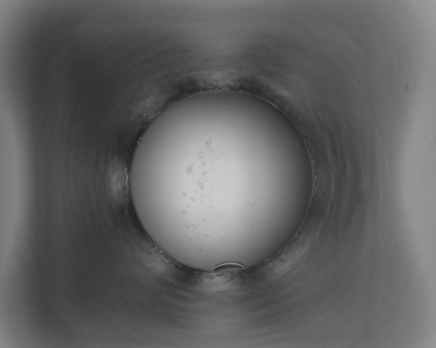 X0000110740624200906221030