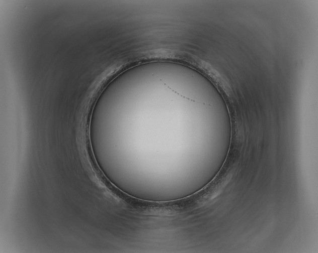 X0000110740625200906221029