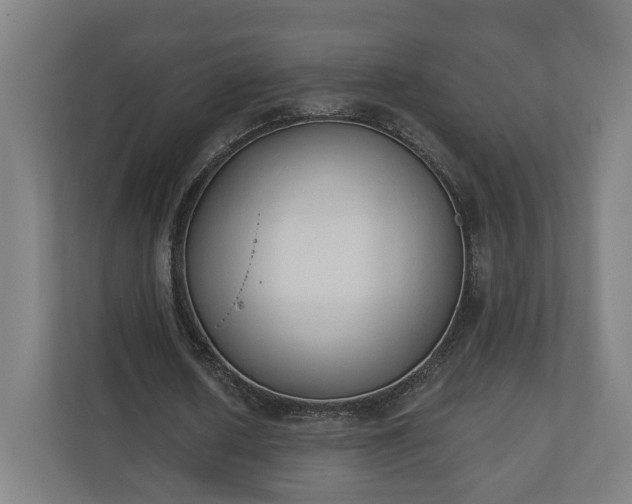 X0000110740626200906221029