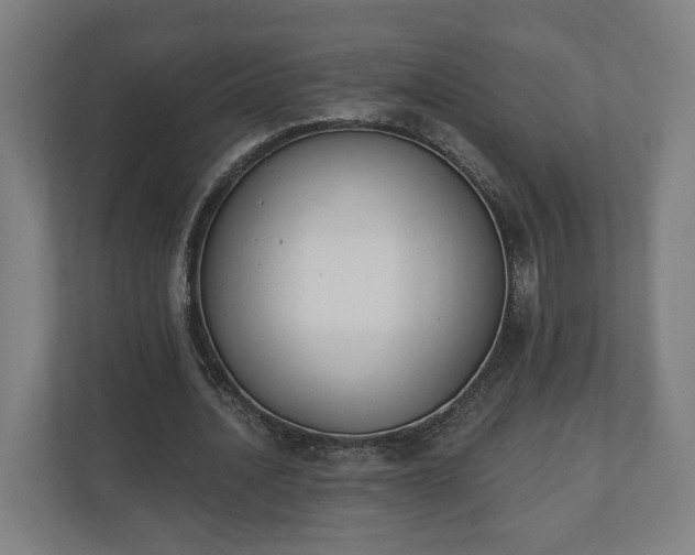X0000110740628200906221029