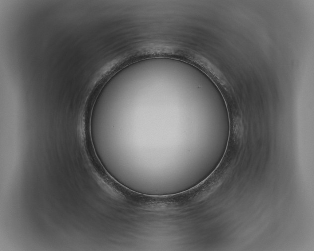 X0000110740629200906221029