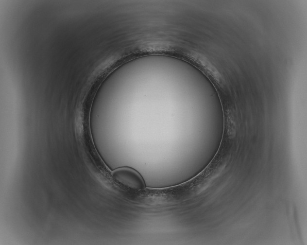 X0000110740631200906221029
