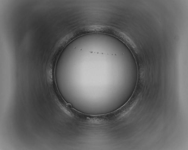 X0000110740633200906221029