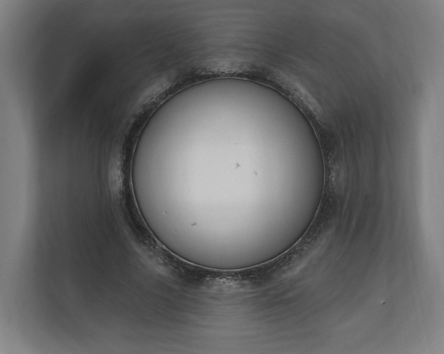 X0000110740635200906221029