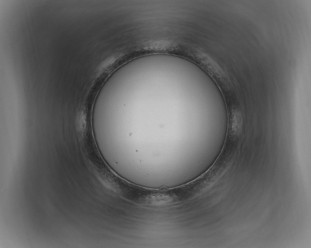 X0000110740636200906221029