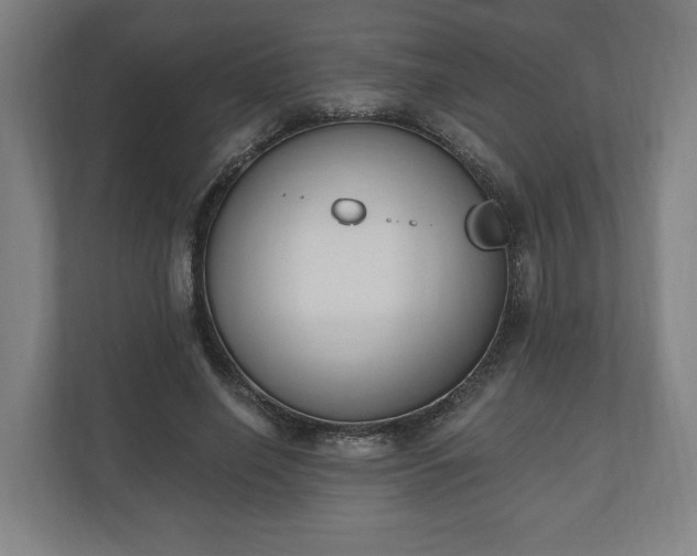 X0000110740638200906221029