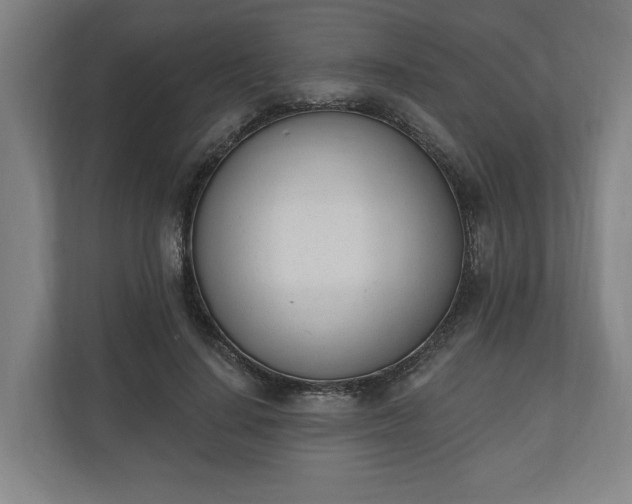 X0000110740644200906221029