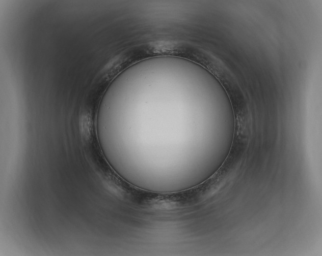 X0000110740648200906221029
