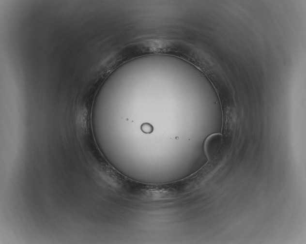 X0000110740650200906221029