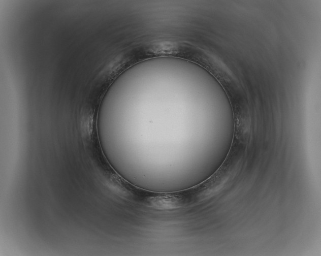 X0000110740652200906221029