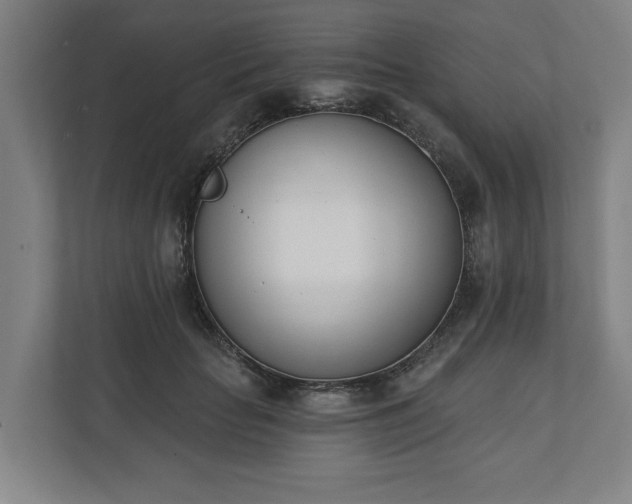 X0000110740653200906221029