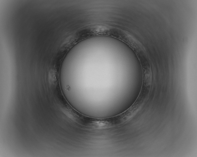 X0000110740654200906221029