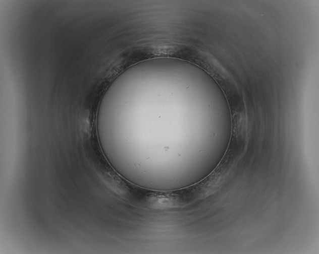 X0000110740655200906221029