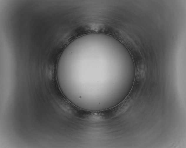 X0000110740656200906221029