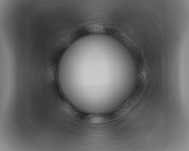 X0000110740658200906221029