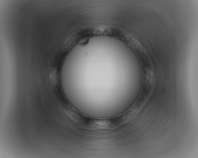 X0000110740659200906221029
