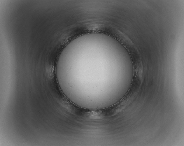 X0000110740660200906221029