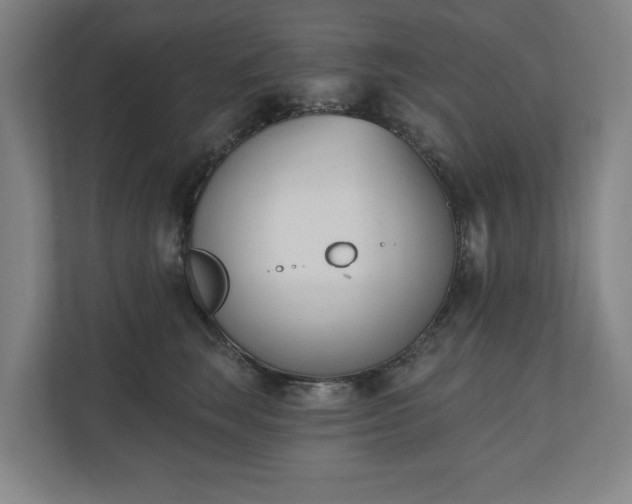 X0000110740663200906221030