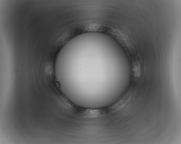 X0000110740665200906221030