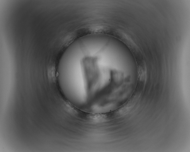 X0000110740670200906221030