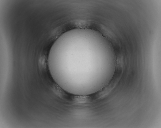 X0000110740671200906221030