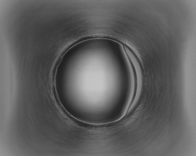 X0000110740673200906221029