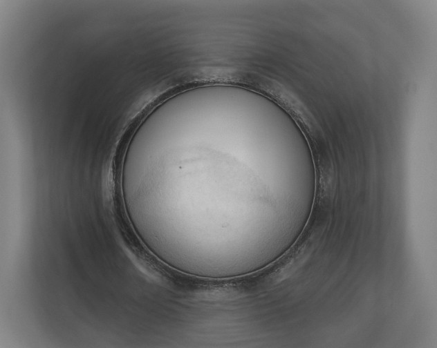 X0000110740674200906221029
