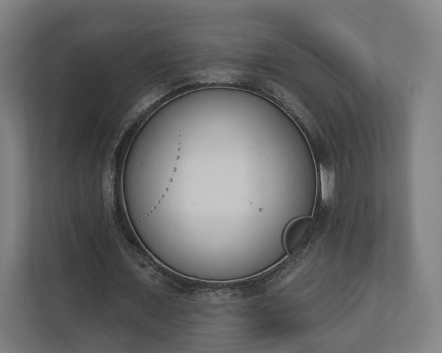 X0000110740675200906221029