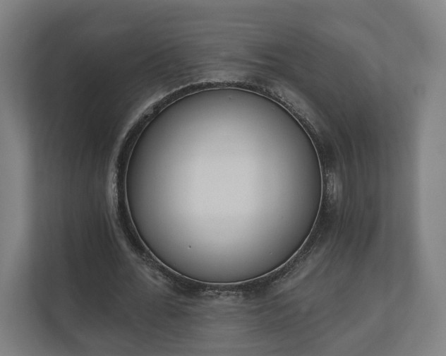 X0000110740676200906221029