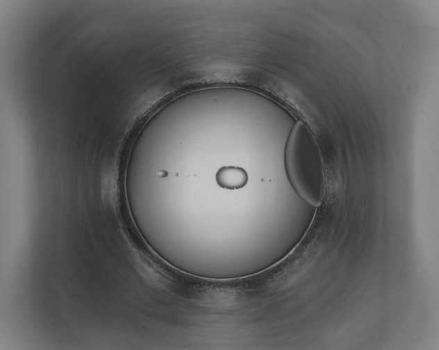 X0000110740677200906221029