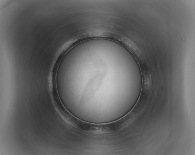 X0000110740678200906221029