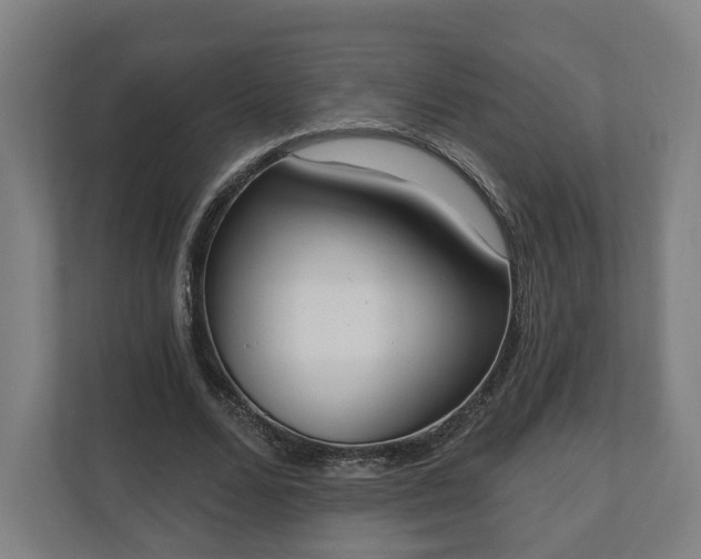 X0000110740680200906221029