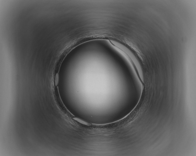 X0000110740681200906221029