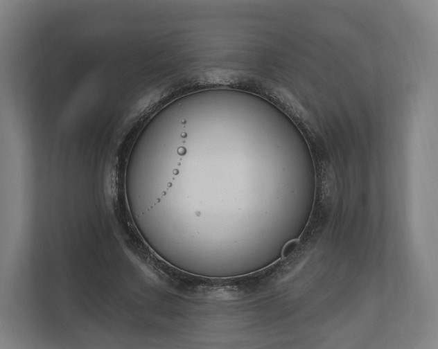 X0000110740683200906221029
