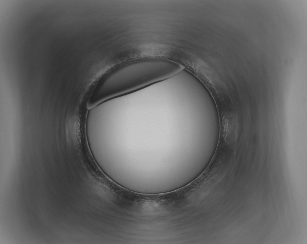 X0000110740684200906221029