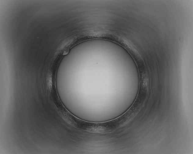 X0000110740685200906221029
