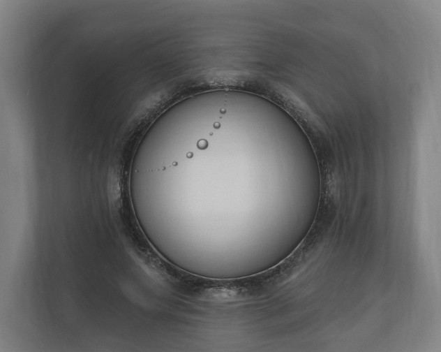 X0000110740687200906221029