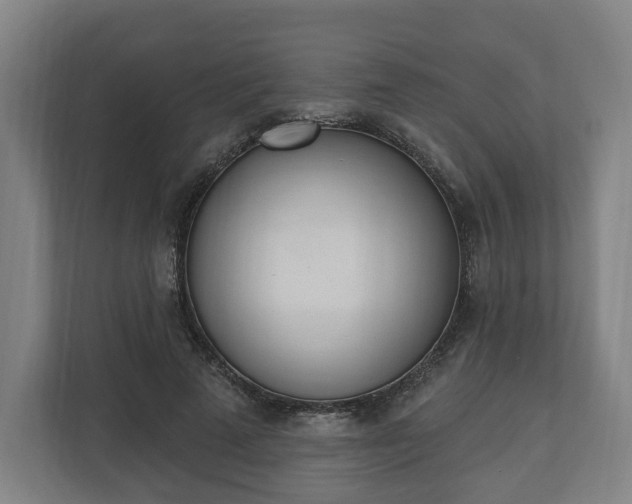 X0000110740689200906221029