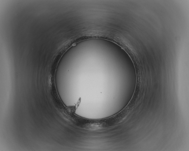 X0000110740692200906221029