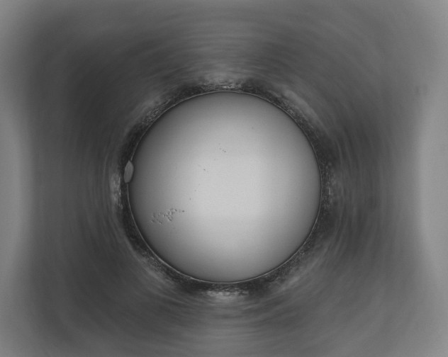 X0000110740693200906221029