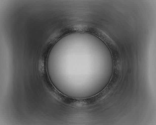 X0000110740696200906221029
