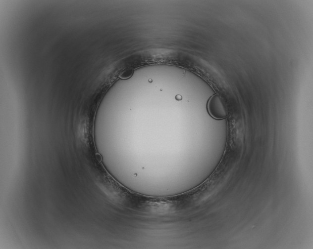 X0000110740698200906221029