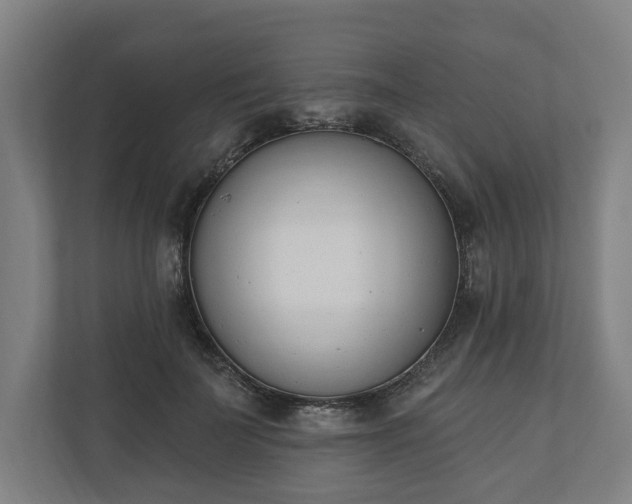 X0000110740699200906221029