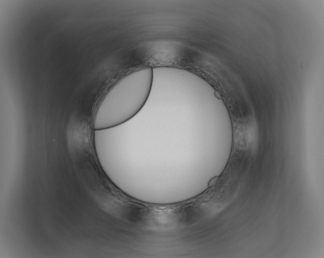 X0000110740701200906221029